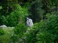 hohewand_12