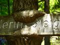 hohewand_39