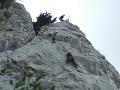 hohewand_59