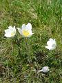 DSCN0071