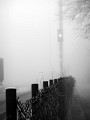 DSCN7346
