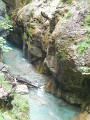 DSCN6351