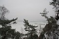 IMGP0821