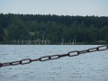 DSCN0388