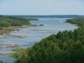 DSCN0497