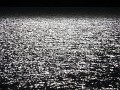 DSCN0535