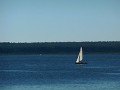 DSCN0609