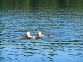 DSCN0684