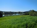 DSCN0732