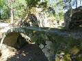 DSCN0766