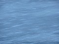 DSCN7717