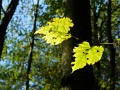 DSCN1063