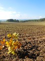 DSCN1087
