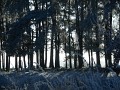 DSCN1985
