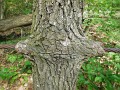 DSCN9542