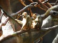 DSCN0291