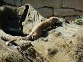 DSCN0302
