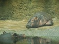 DSCN0306