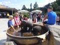 DSCN0309