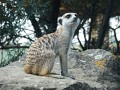 DSCN0315