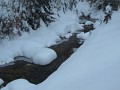 DSCN2441