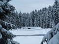 DSCN7586