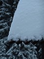 DSCN7591