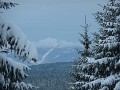 DSCN7595
