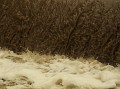 035_154600_stechovice_kocaba