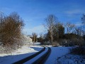 DSCN3704